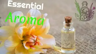 Tangerine Essential Oil