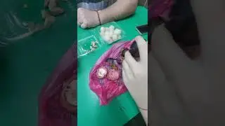 ROTI CANAI în KUALA LUMPUR