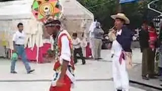Papantla Dancing