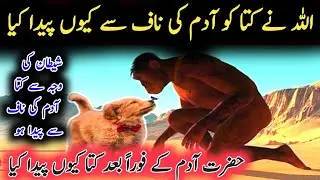 Why was dog created immediately after Adam? | Creation of Dog | Takhleeq e Adam | Talk Of Islam