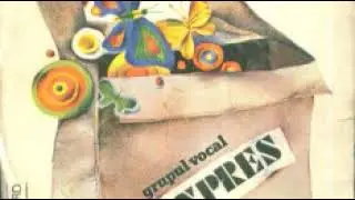 Expres Trio-Vrei nu vrei (Voulez-vous)