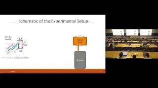 Realization of Random Pulse Sequences for the Resource-Efficient Characterization