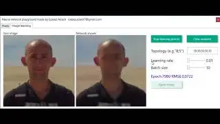 Neural network learns image function  (written in c# .net WPF)