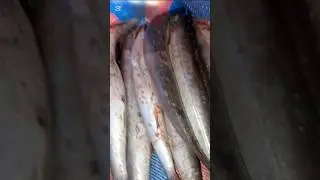 Best frozen fish method #trending #fish #method #frozen #shorts #video #share