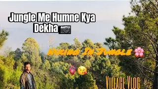 Hiking In Jungle & Jungle Me Kya Dekha 😃#villagevlog #junglevlogs #hiking #karore #villagerlifestyle