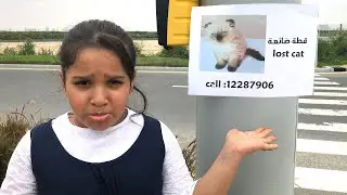 شفا، سوسو ، أفضل سلسلة قصص تربوية و أخلاقية