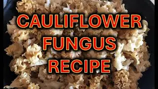 Cauliflower fungus, recipe for pasta with this mushroom