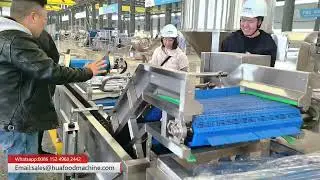 Lettuce Vegetable Washing Machine - Thai Client Factory Tour