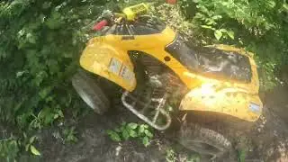 Haspinacres
