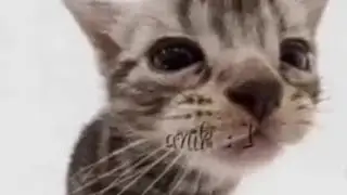 озвучка скибиди туалет 71 автор:DaFuq!?Boom
