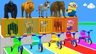 Long Slide Game With Elephant Gorilla Buffalo Hippopotamus Tiger - 3d Animal Game - Funny 3d Animals