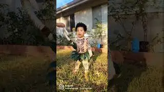 Maui Halloween Costume 2022 | Toddler Edition