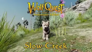 Slow Creek