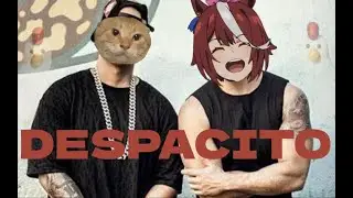[MAMBOCORE] despacito (but it's hachimi mambo remix