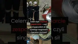 Trzęsienie ziemi w Birmie: Karaluchy-cyborgi ratują ludzi! 🪳🚨