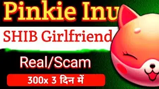 Shiba girl 300x🔥| Pinkie inu coin review real Or scam news