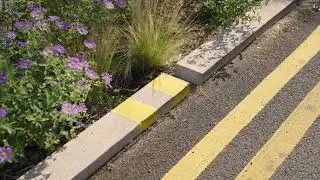 Sutherland Road Rain Garden - Meristem Design