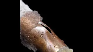 cold weather home maintenance tips