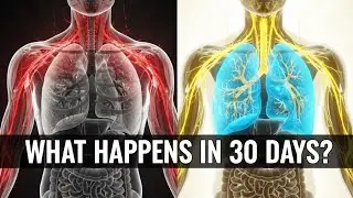 Deep Breathing for 30 Days (Scientific Results)