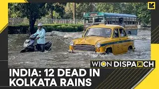 India: Heaviest Rainfall In Kolkata In 4 Decades, IMD Says Over 250 mm Rain Fell In 24 Hours | WION
