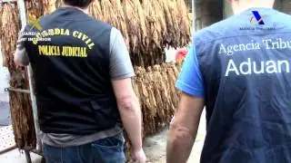 Detenidos con 70.000 puros calique&ntilde;os falsos en f&aacute;bricas de Valencia