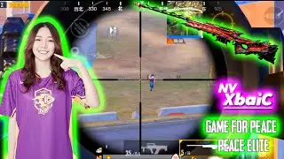 NV XBaiC 20 Kill CHicken Dinner | Game for Peace #roupubg #chennuo #lgdcheng #paraboy