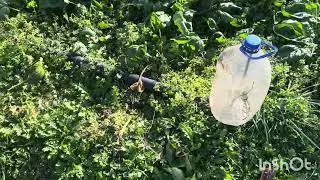 Günlük vilog çekim