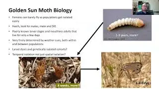 Grassy Talk #8 - Golden sun moth: complexities of managing a cryptic invertebrate - Graham Jury