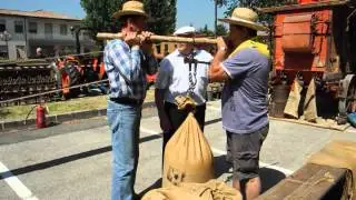 'na volta i Trebiava! 2012