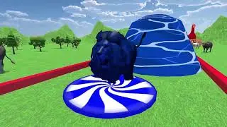Learn Colors with Wild Animals Swimming Race for Children | Animals for Preschool Kids & Toddlers