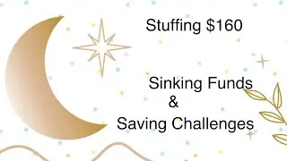 Stuffing $160 after the bills are paid from my check!  Sinking funds & savings challenges