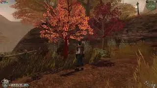 AmberLeaf Grove update and walkthrough (Fable: TLC modding)