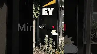 Mini vlog 1/50 ✨😊 #shortsfeed #shorts #minivlog #vlog #big4 #gurugram