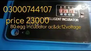 Best performance egg incubator AC&DC12voltage Mad in china
