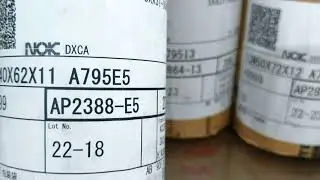 Skeleton oil seal