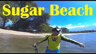 SNORKELING MAUI AT SUGAR BEACH (GUIDE CARDS) (GOPRO ACTION 1080P)