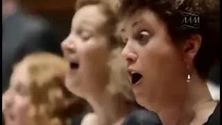 Muzikantu humoras solistai,orkestras