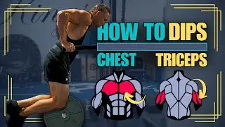 HOW TO: Dips (Get Bigger, Stronger Chest & Arms)