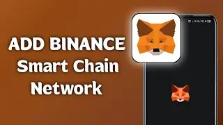 How To Add Binance Smart Chain Network In MetaMask &ndash; Step-by-Step