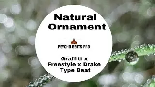 Natural Ornament|Graffiti x Freestyle x Drake Type Beat|Prod.Psycho Beats Pro.