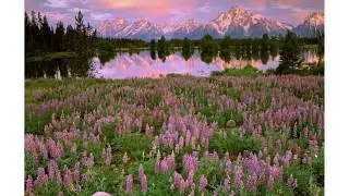 Guided Meditation about Compassion and Courage (sign up thru MindBody for weekly livestream session)