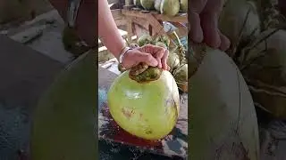 Natural drink, professional cut. 🥥🌴#coconut#asmr#satisfying#oddlysatisfying#foodprocess