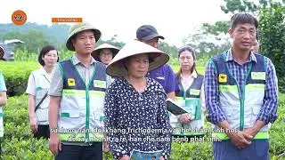 [MONGOUS LANGUAGE] RESTORING TEA AREA AFTER FLOOD | VTV5