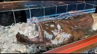 【東京】創業１９５年！江戸時代から続く都内で唯一の あんこう料理専門店に密着｜Japanese Food