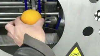 Schilmachine ZTI Citrus Kiwi Peeler 16 Test Run
