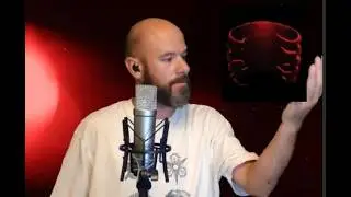 Tool - Bottom (Vocal Cover)