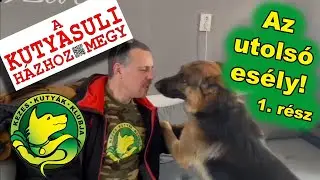 Az utolsó esély! 1.rész