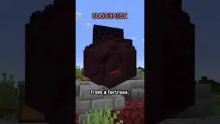 Minecraft, But Damage Switches My Version...
