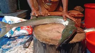 Live Fish Cutting Today 🐟 | Big Fish Clean & Slice