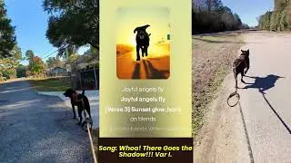 Song: Whoa! There Goes The Shadow!!! Long Variation 1. Dryland Dog Sledding Music Video with Shadow